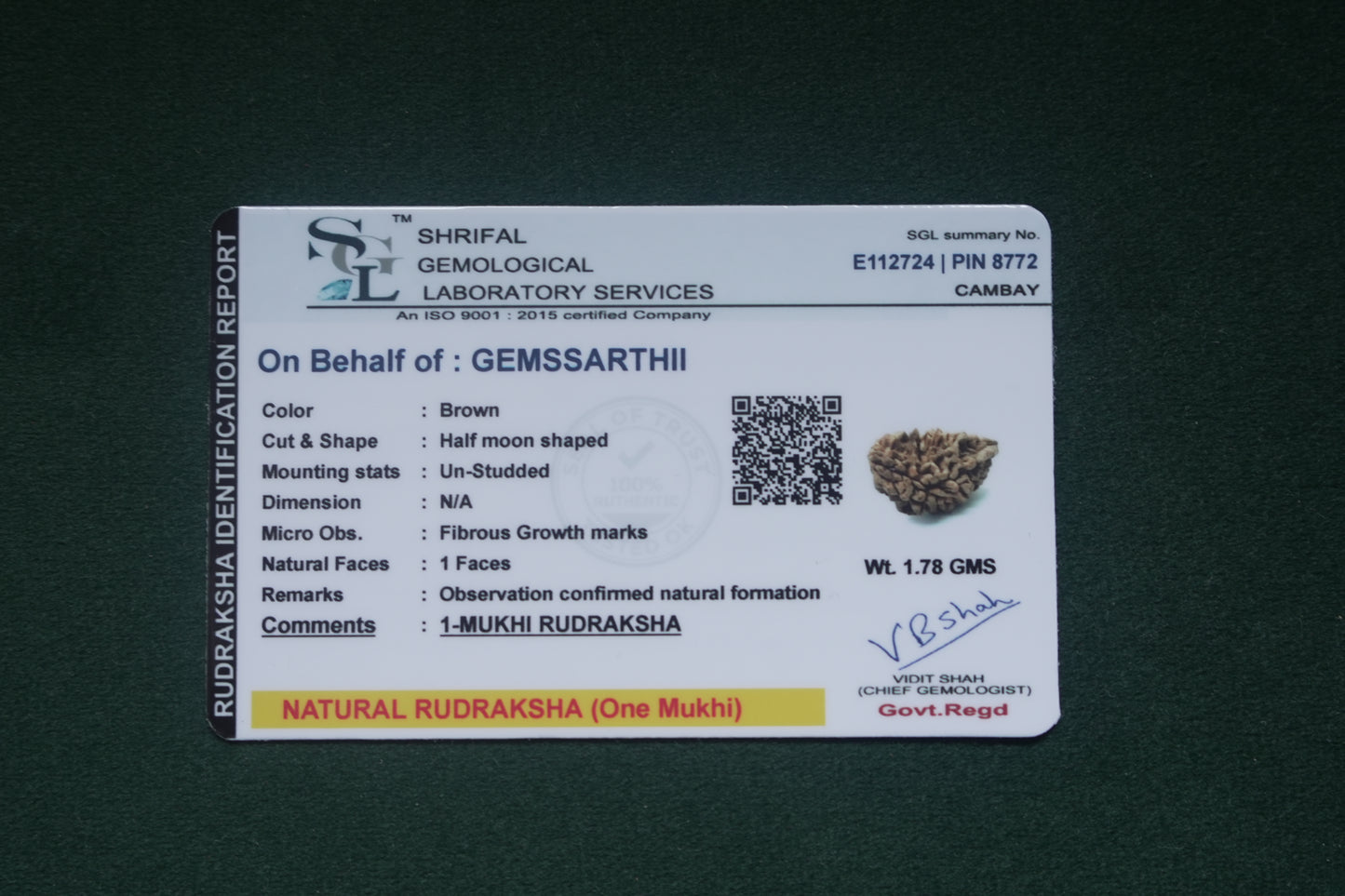 Natural 1 mukhi rudraksh - indian