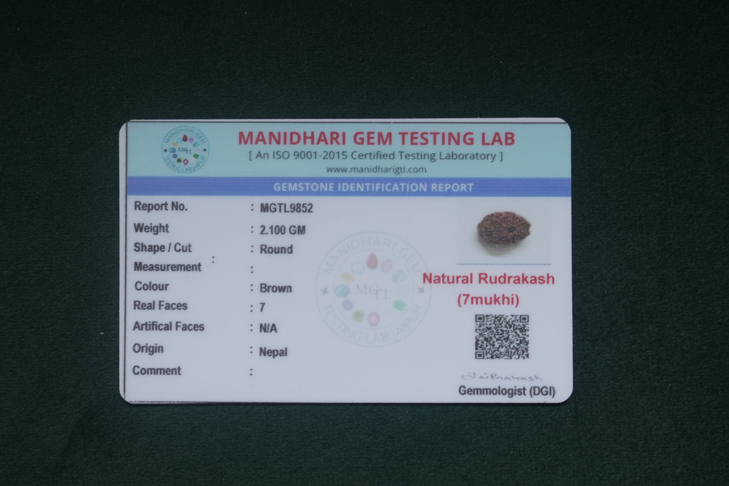 Natural 7 mukhi rudraksh(nepali)