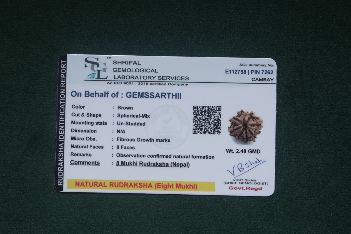 Natural 8 mukhi rudraksh (Nepali)