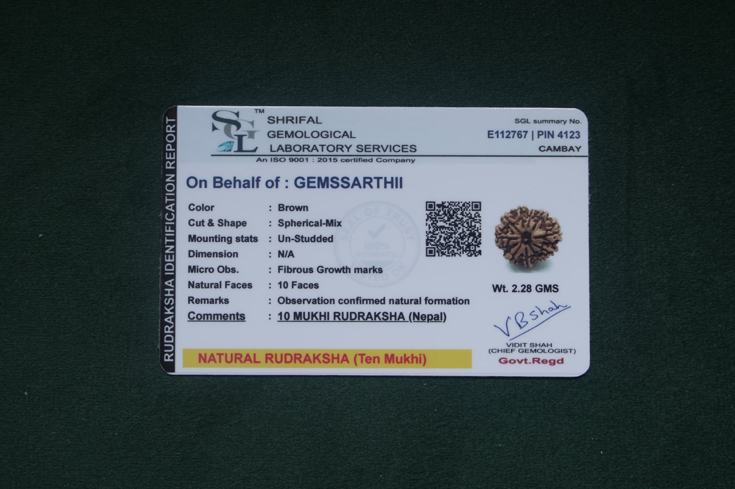 Natural 10 mukhi rudraksh (Nepali)