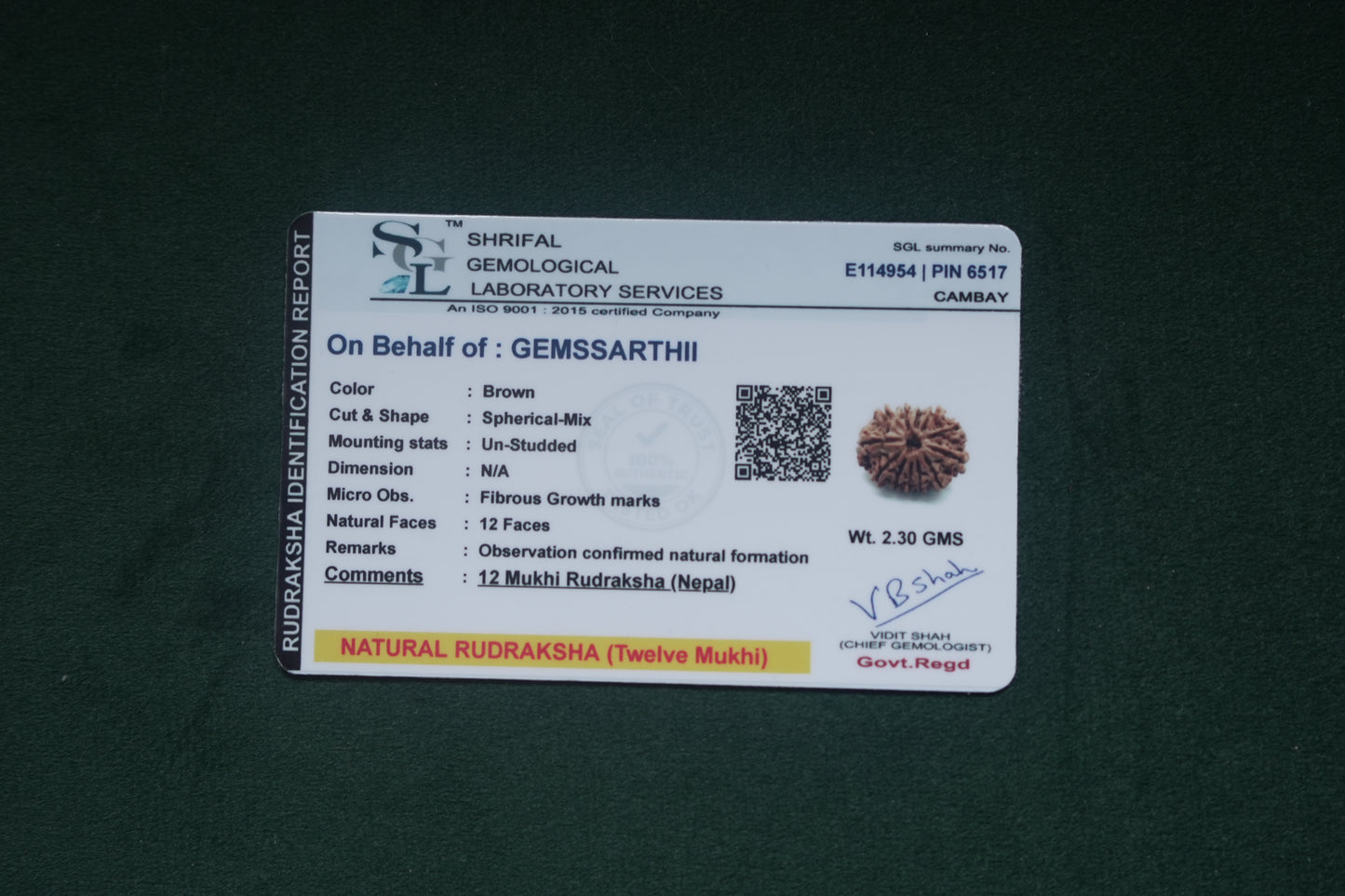 Natural 12 mukhi rudraksh (nepali)