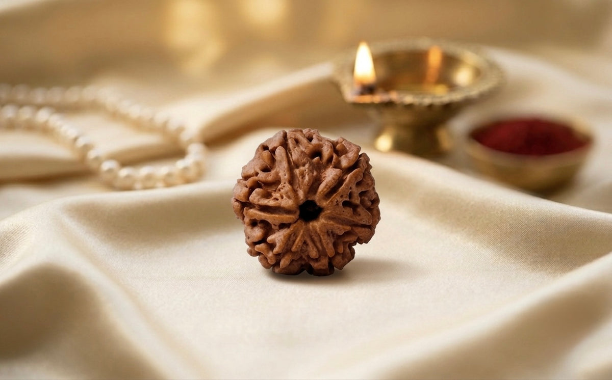 5 MUKHI FREE GIFT