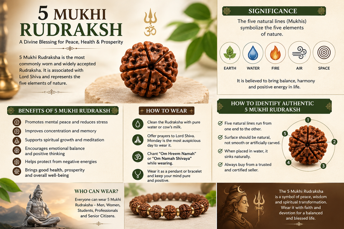 5 Mukhi Rudraksha: Benefits, Significance, and How to Wear It