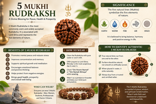 5 Mukhi Rudraksha: Benefits, Significance, and How to Wear It