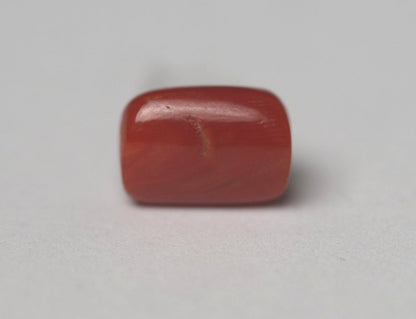 MOONGA (RED CORAL) 5.06 CARAT - ITALY