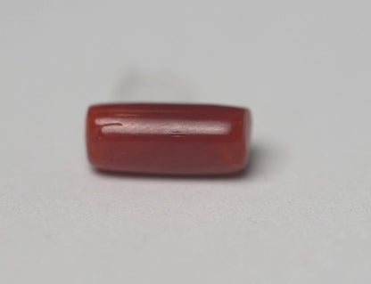 MOONGA (RED CORAL)  6.32 CARAT - ITALY