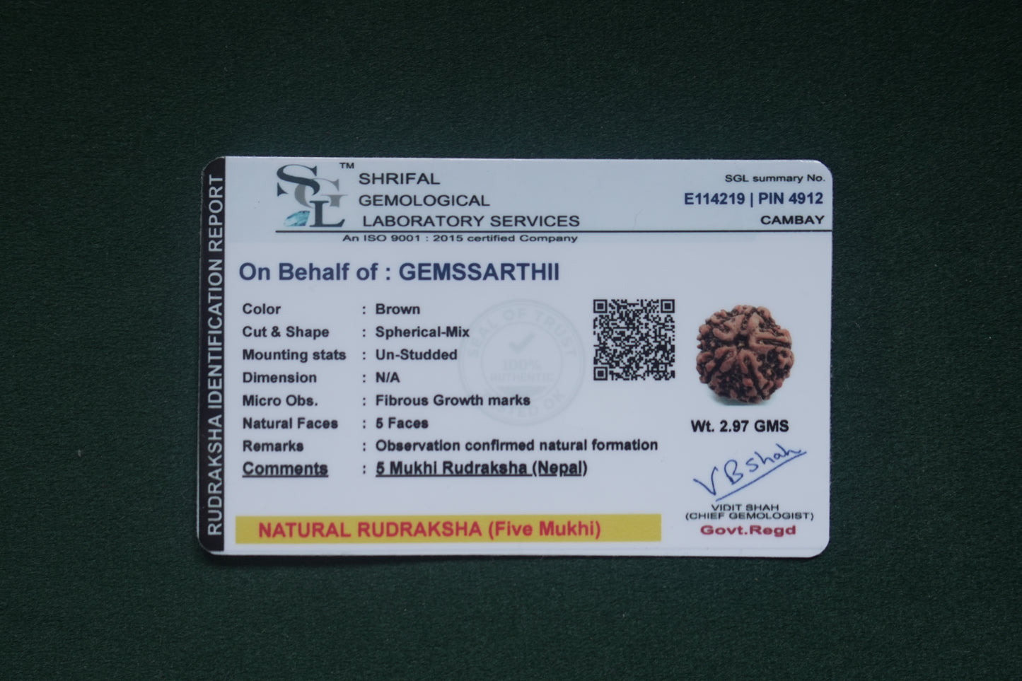 NATURAL 5 MUKHI RUDRAKSH (NEPAL) SIDDHA