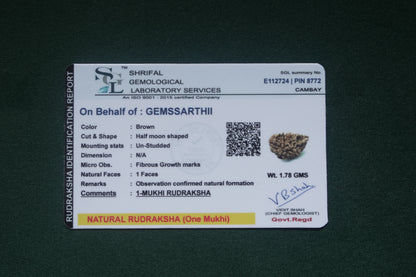 Natural 1 mukhi rudraksh - indian