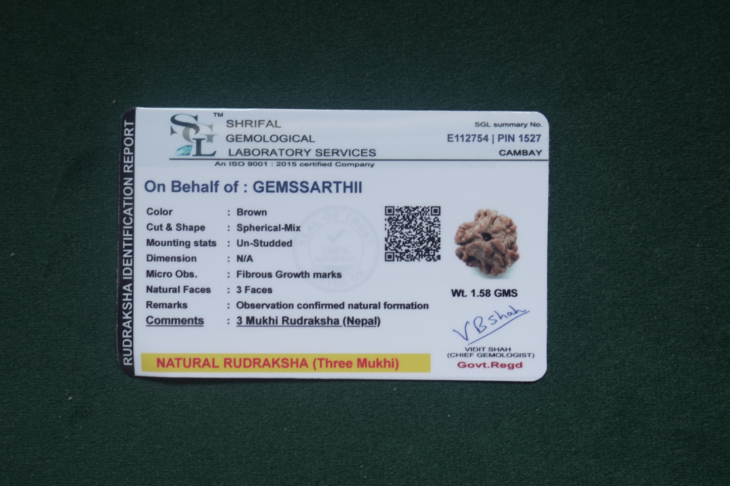 Natural 3 mukhi rudraksh (nepali)