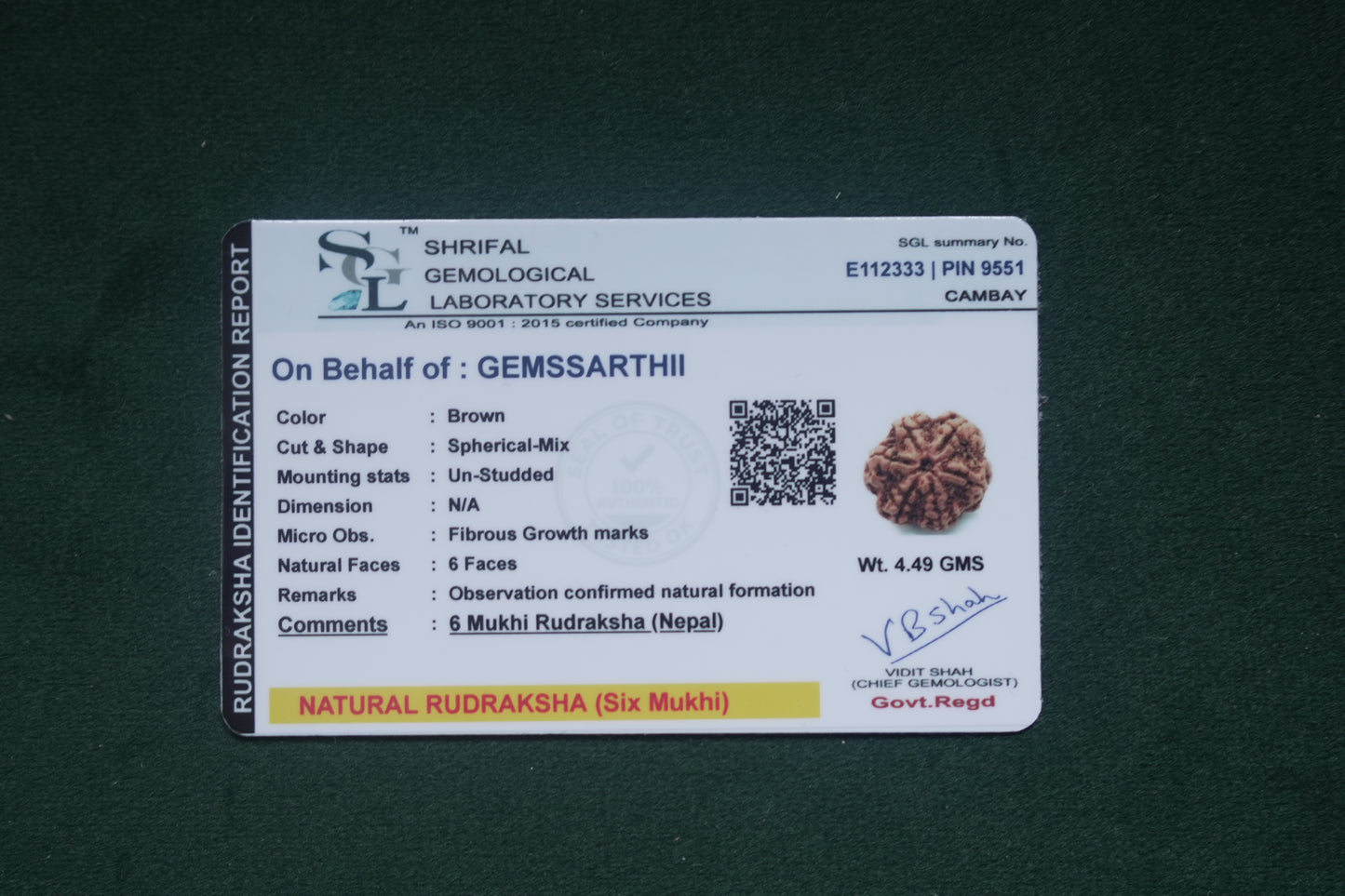 Natural 6 mukhi rudraksh (Nepali)