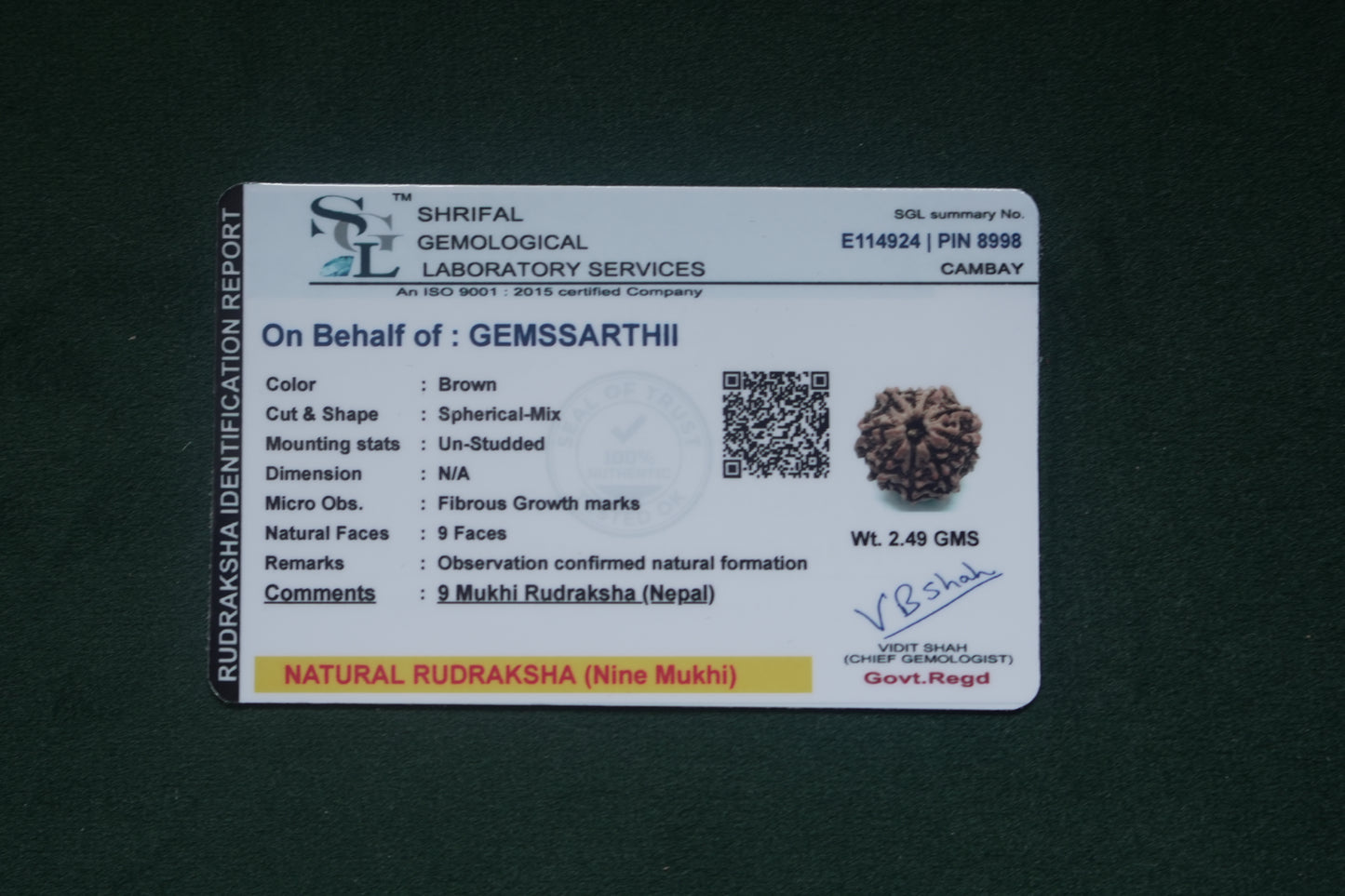 Natural 9 mukhi rudraksh (Nepali)