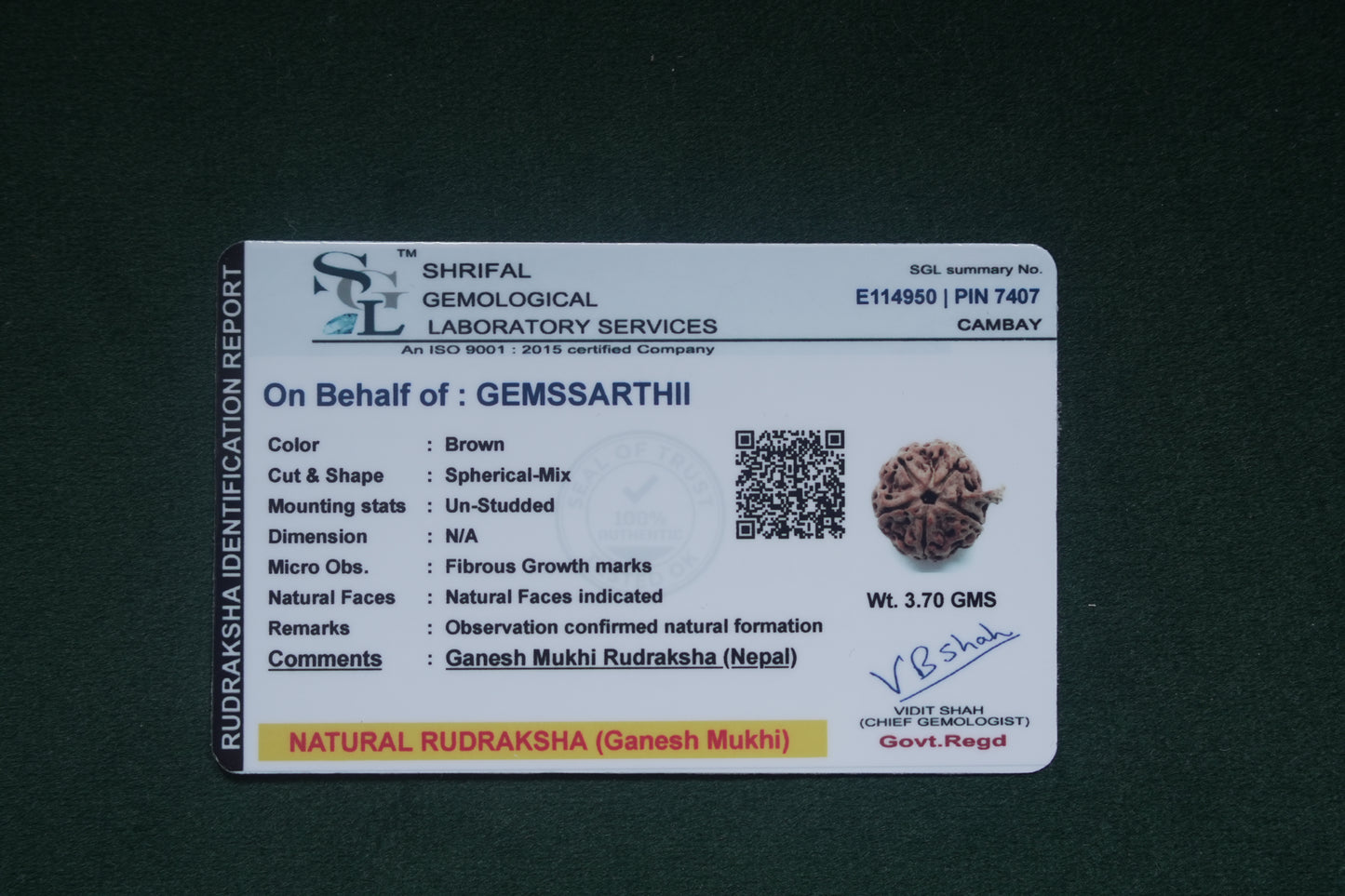 Ganesh Rudraksh NEPAL origin