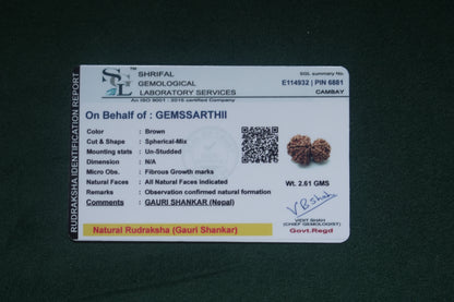 Gauri Shankar Rudraksh - NEPAL ORIGIN