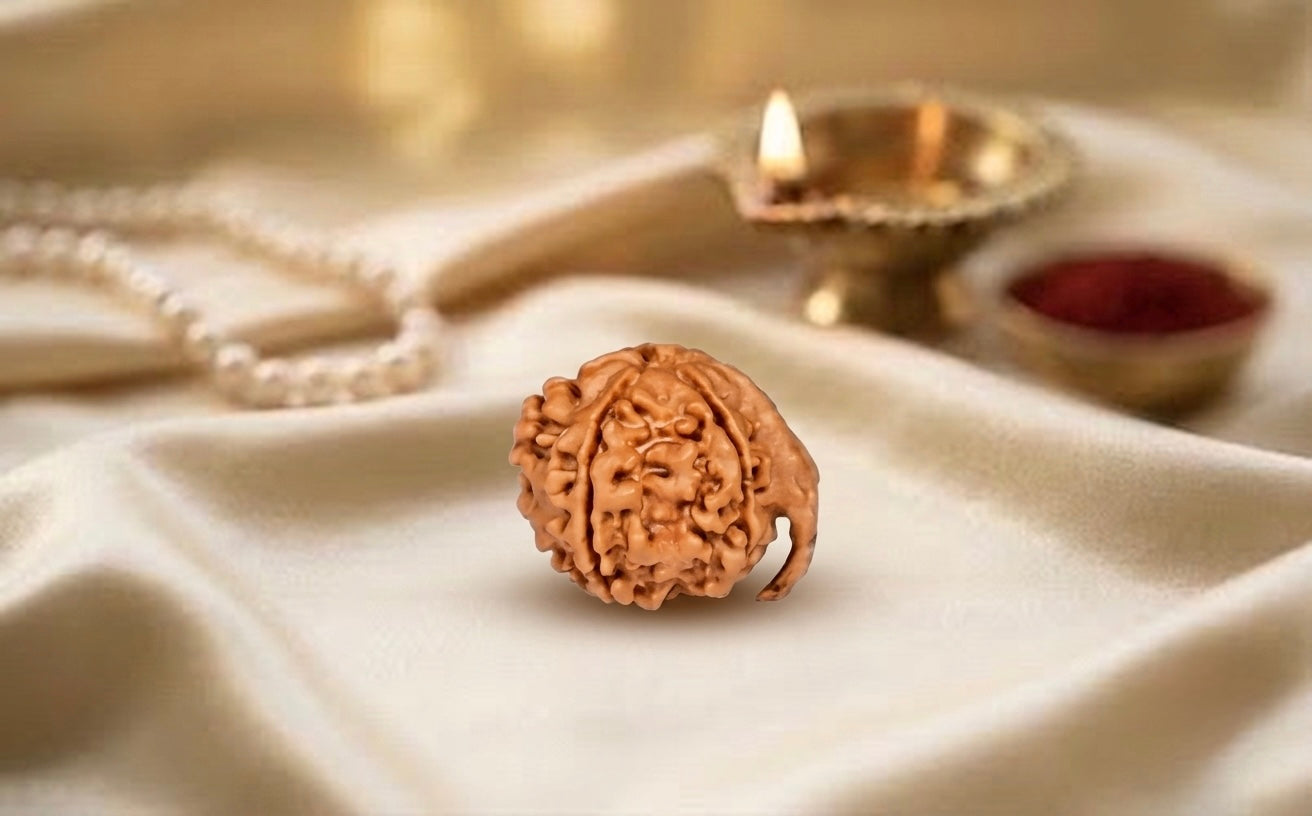 Ganesh Rudraksh NEPAL origin