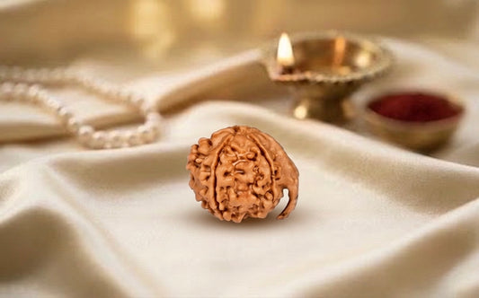 Ganesh Rudraksh NEPAL origin