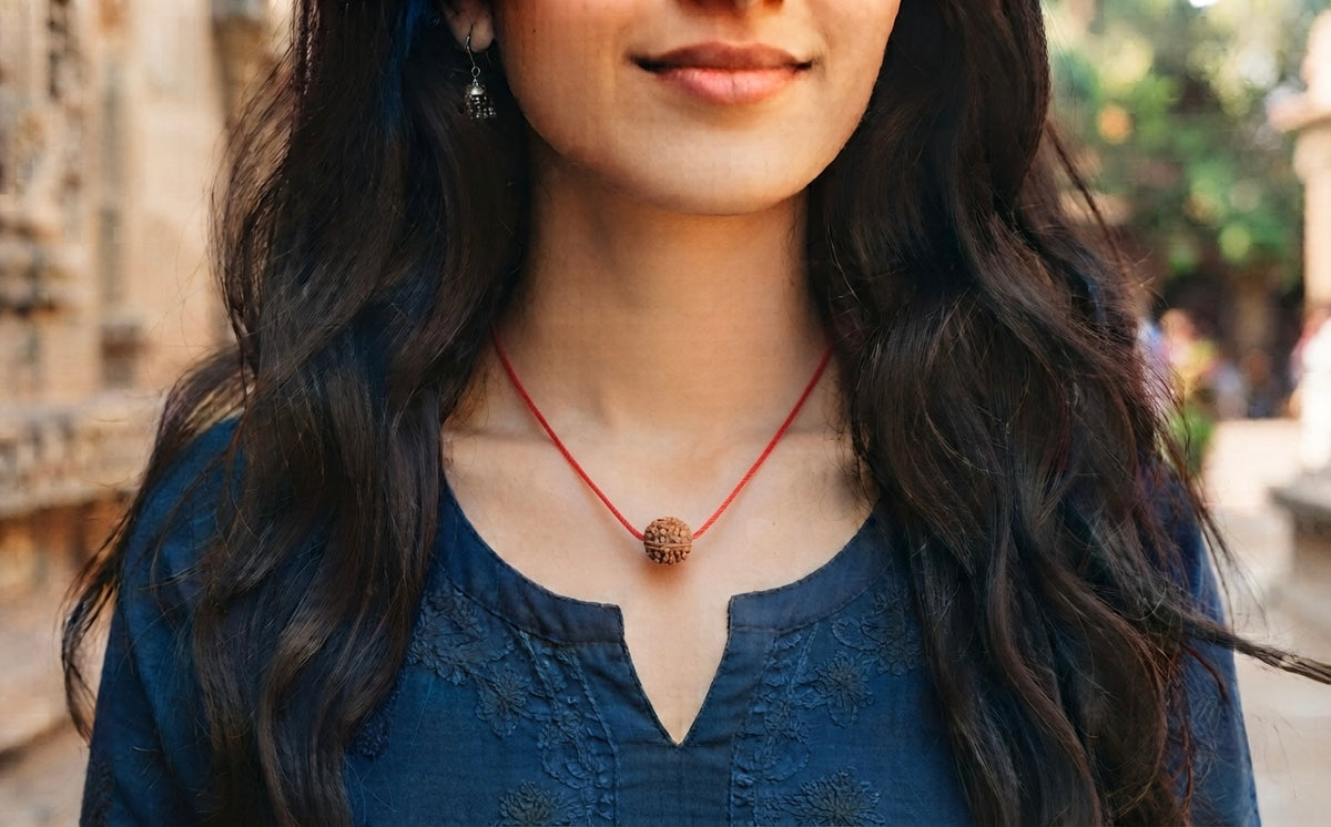 Natural 7 mukhi rudraksh(nepali)