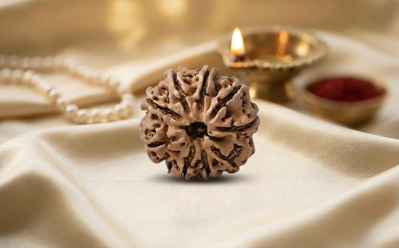 Natural 8 mukhi rudraksh (Nepali)