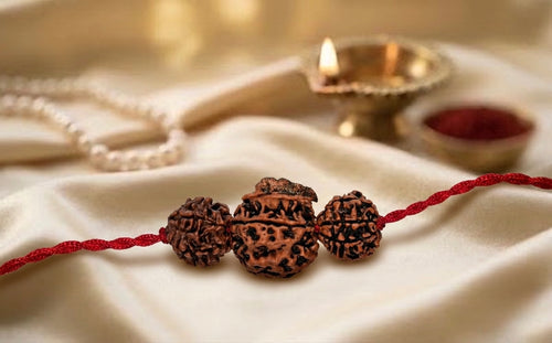 Laxmi Ganesh dhan Kavach – 7 Mukhi + Ganesh Rudraksha