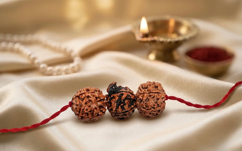 Vidya Siddhi saraswati Kavach – 4 Mukhi, 6 Mukhi & Ganesh Rudraksha