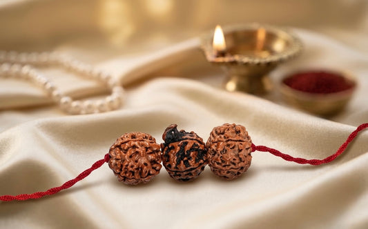 Vidya Siddhi saraswati Kavach – 4 Mukhi, 6 Mukhi & Ganesh Rudraksha