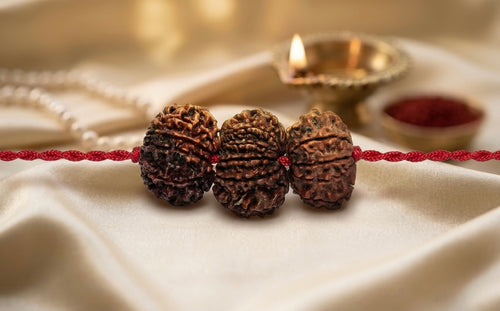 Nazar Protection & health Kavach – 9, 10 & 11 Mukhi Rudraksha