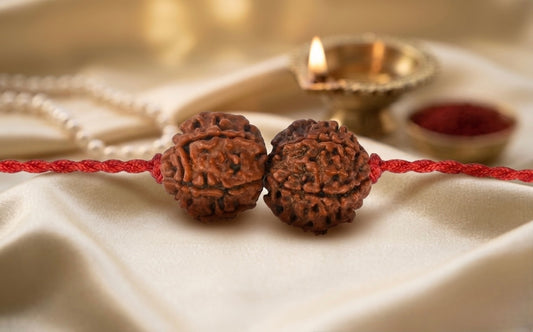 Shani Rahu Shanti Kavach – 7 & 8 Mukhi Nepali Rudraksha