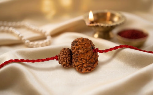 Surya Rahu grah Shanti Kavach – 8 & 12 Mukhi Rudraksha ⭐