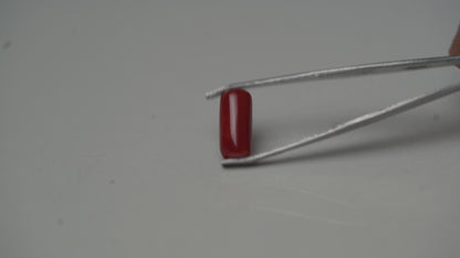 MOONGA (RED CORAL)  6.32 CARAT - ITALY