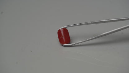 MOONGA (RED CORAL) 5.06 CARAT - ITALY